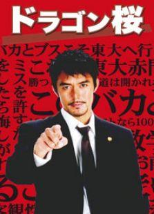 龙樱在线观看,一场青春与梦想的激荡之旅  第1张